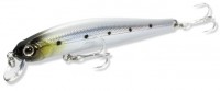 ZBL System_Minnow_9F