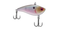 Rattle Bait